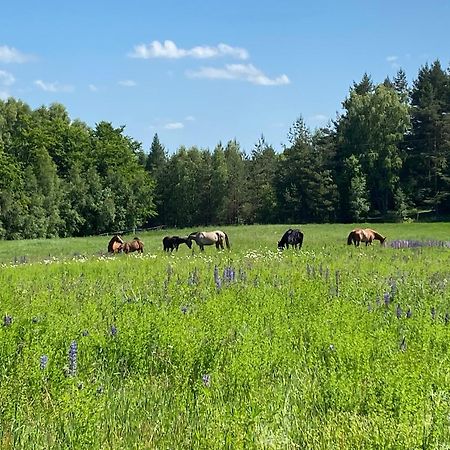 Koziula - Domki I Lesne Spa Na Kaszubach Przywidz  Extérieur photo