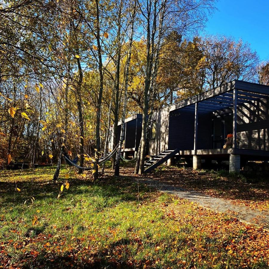 Koziula - Domki I Lesne Spa Na Kaszubach Przywidz  Extérieur photo