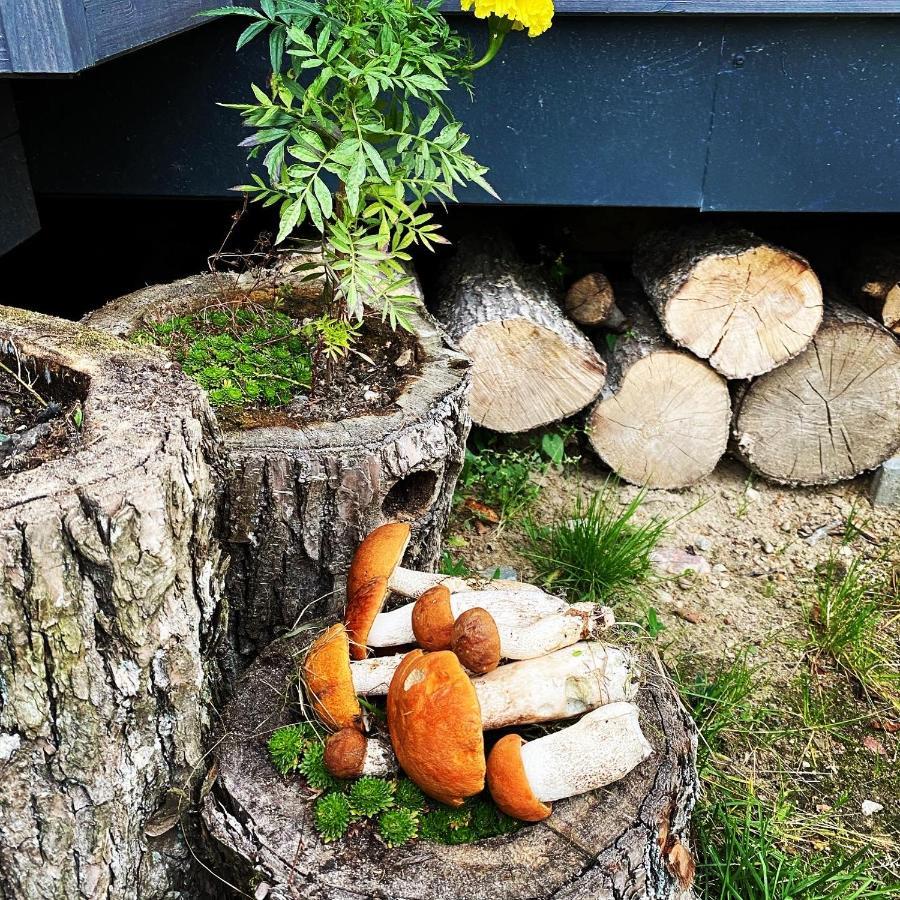 Koziula - Domki I Lesne Spa Na Kaszubach Przywidz  Extérieur photo