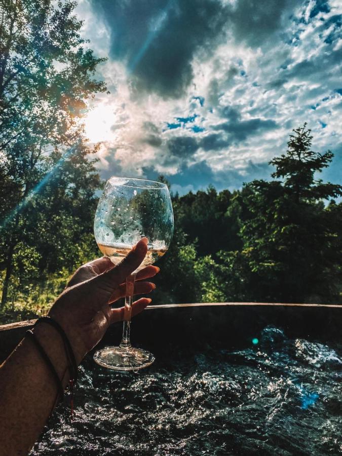 Koziula - Domki I Lesne Spa Na Kaszubach Przywidz  Extérieur photo