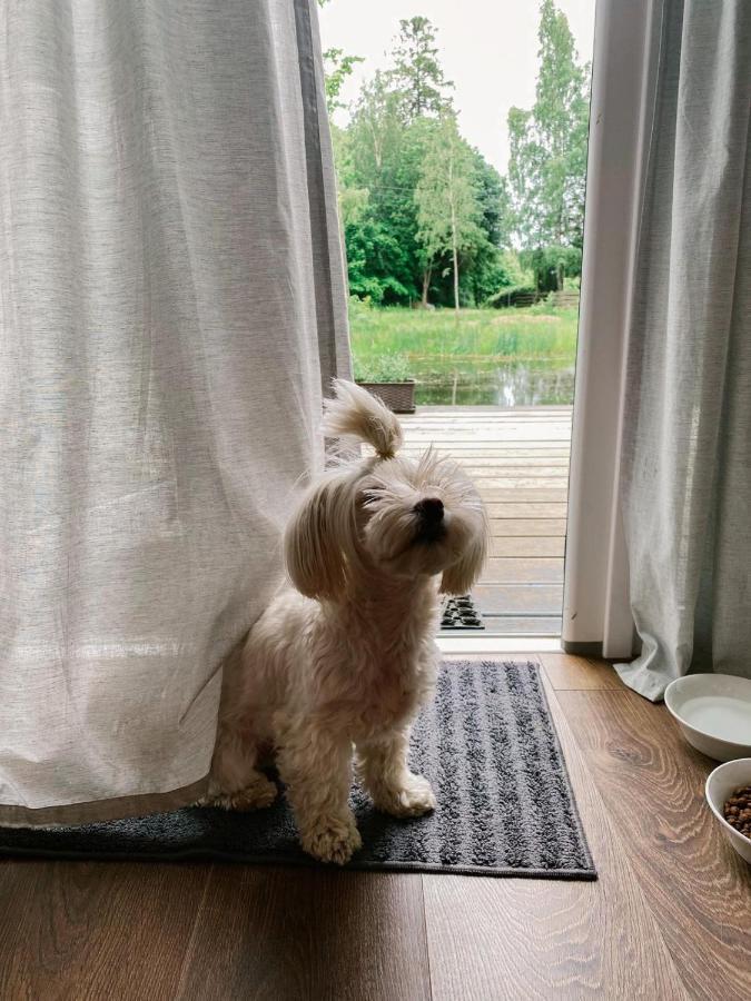 Koziula - Domki I Lesne Spa Na Kaszubach Przywidz  Extérieur photo