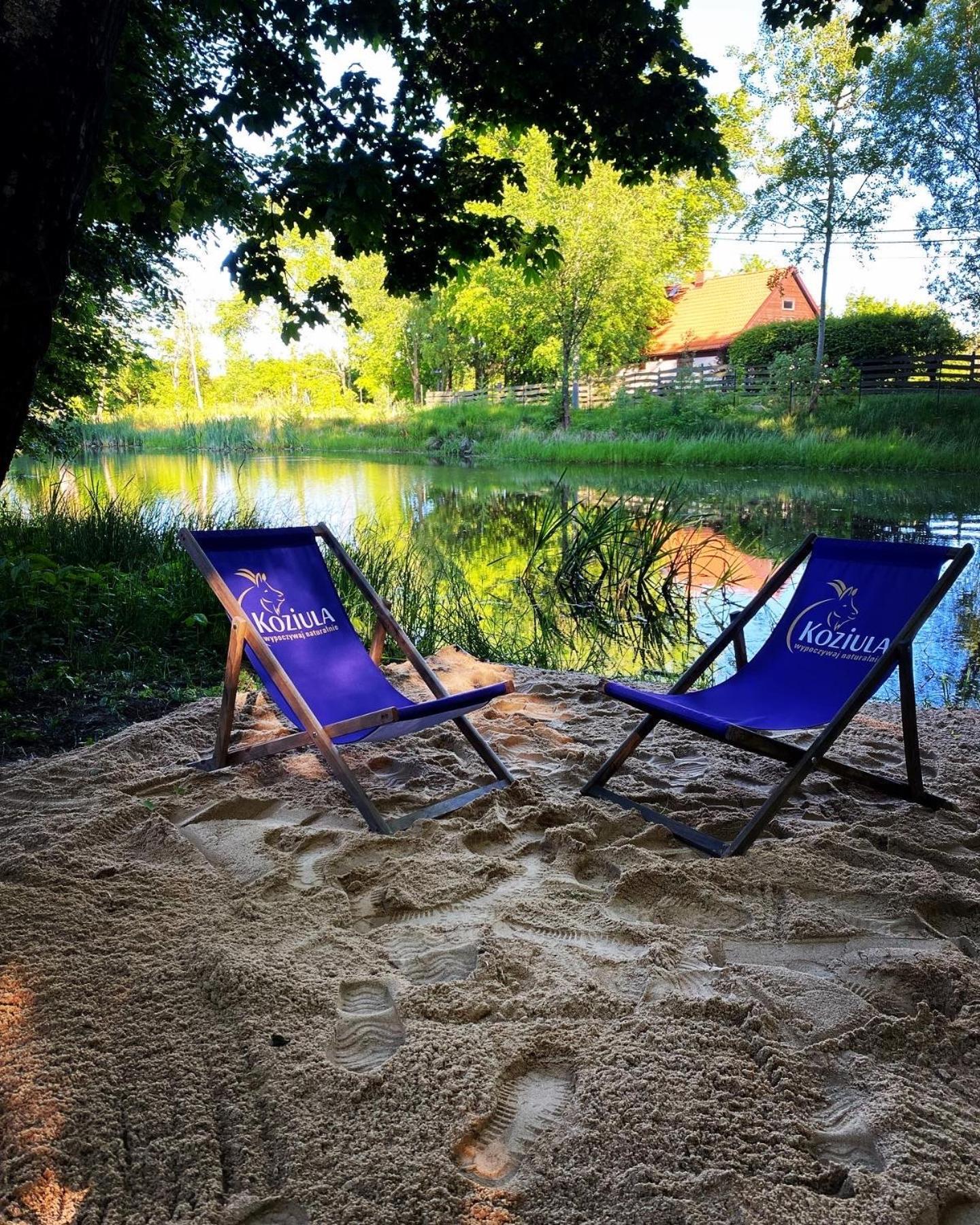 Koziula - Domki I Lesne Spa Na Kaszubach Przywidz  Extérieur photo